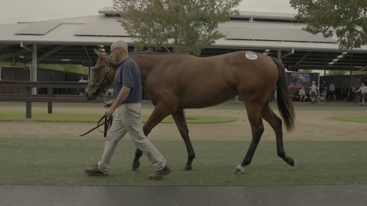 Adrian Bott and Bruce Slade discuss the purchase of the Too Darn Hot x Lady Sioux