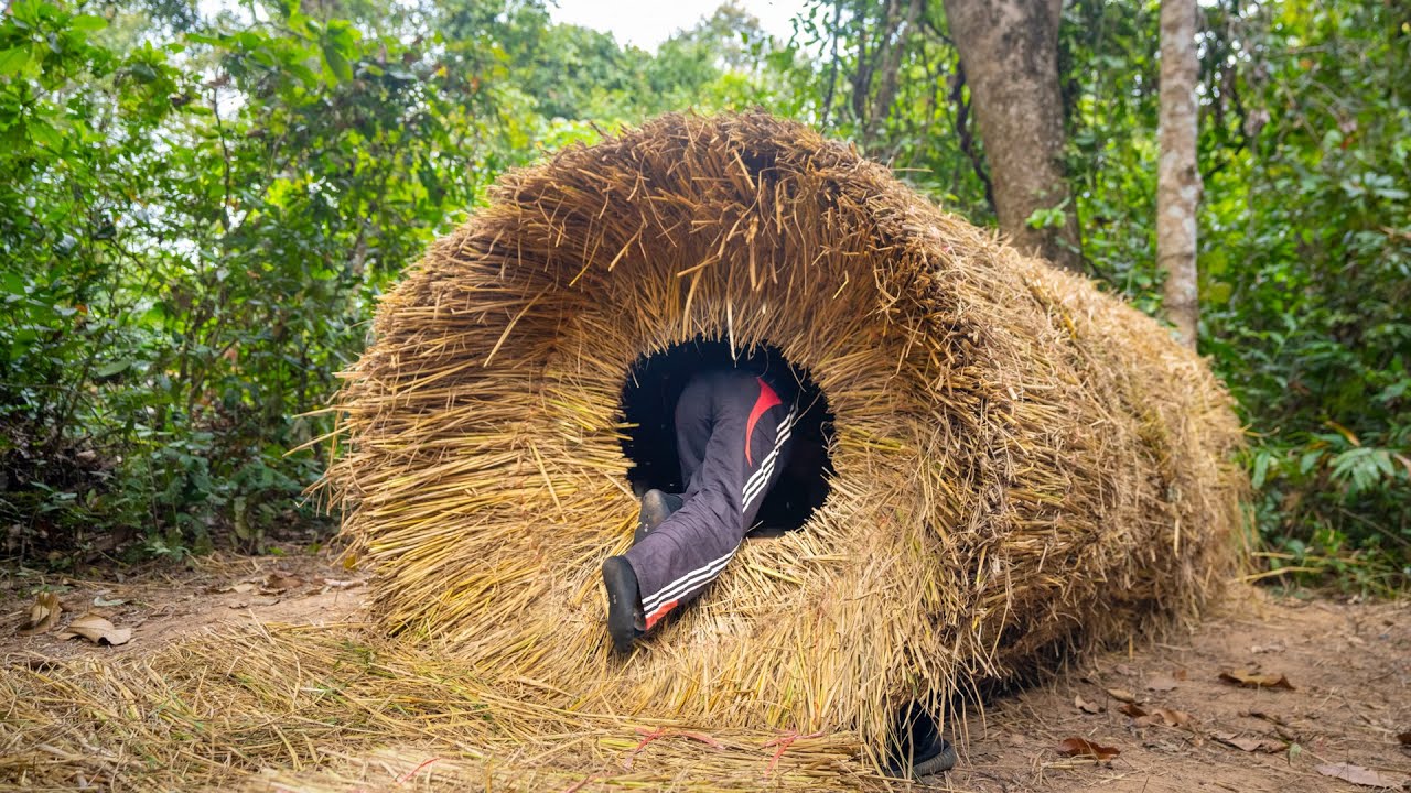 Building The most Amazing Bird Nest House for Winter Season by Ancient Skills