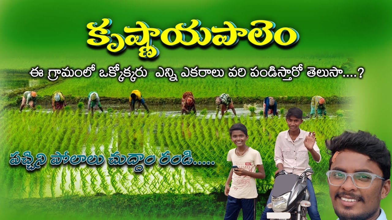 Krishnayapalem || కృష్ణాయపాలెం || Beautiful Village || Sandeep vlogs || #krishnayapalem