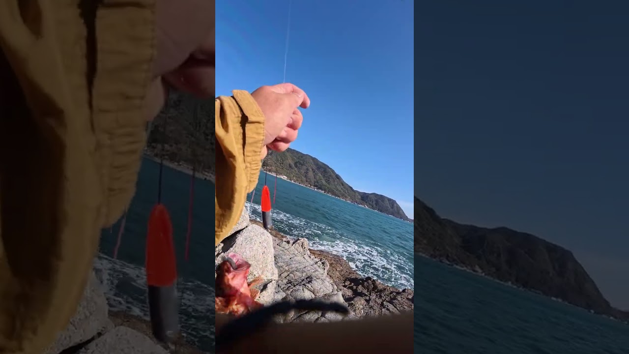 【究極の静寂】湖畔で感じる癒しの釣り体験🌿🎣