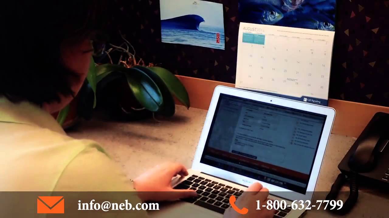 How Do I Contact NEB Tech Support?