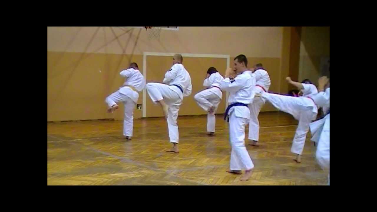 Karate Kyokushin Pawłowice - Trening Dorośli