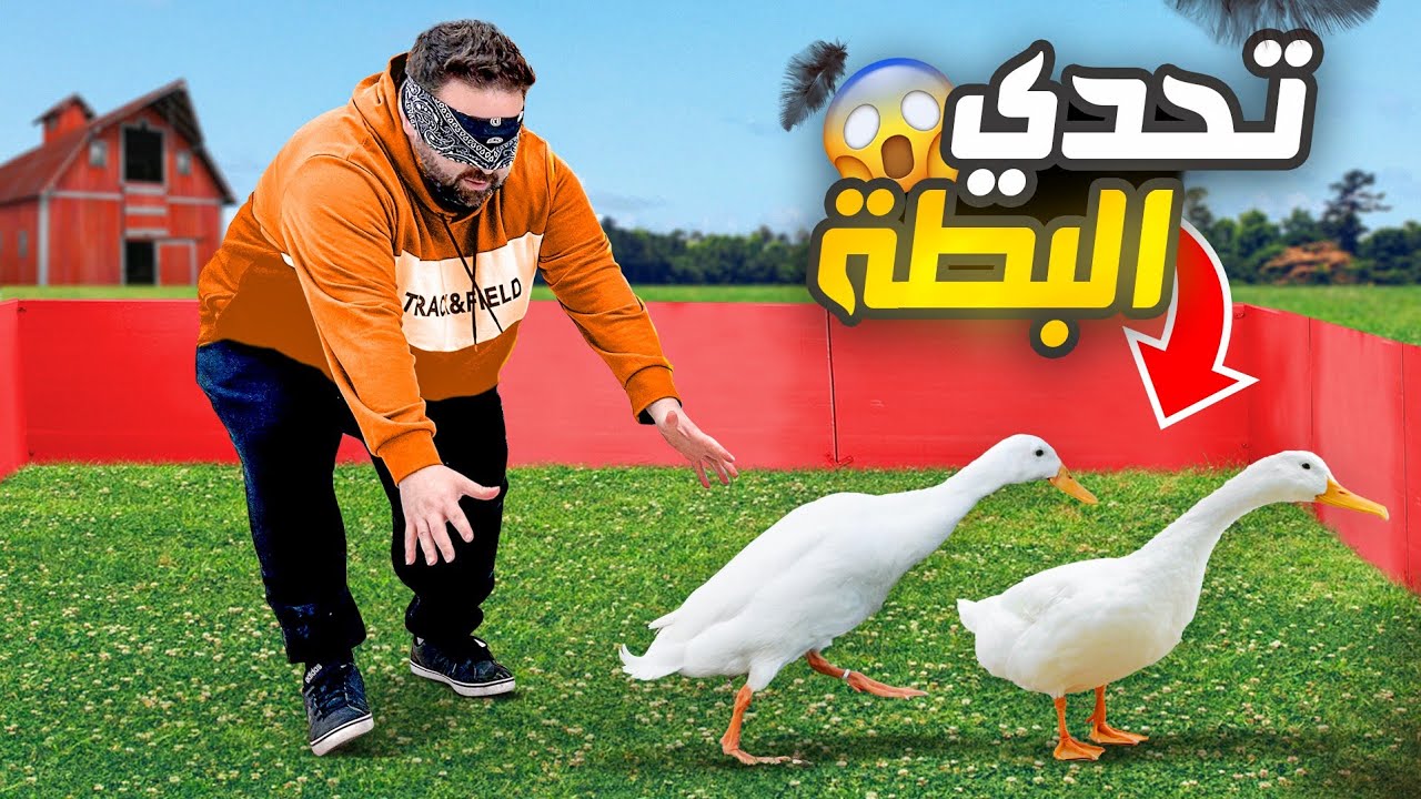 أتحداك تمسك البطة 😂