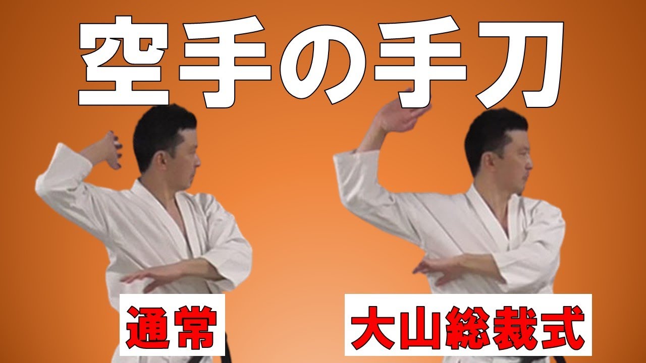 【総集編5】危険！空手の手刀の使い方【手刀顔面打ち・手刀鎖骨打ち下ろし・手刀鎖骨打ち込み・手刀内打ち・手刀脾臓打ち】