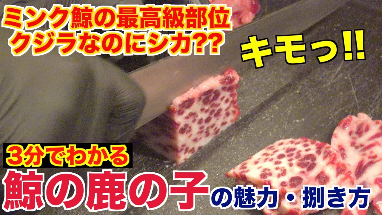 【集合体恐怖症】鯨の鹿の子(かのこ)ってなに？