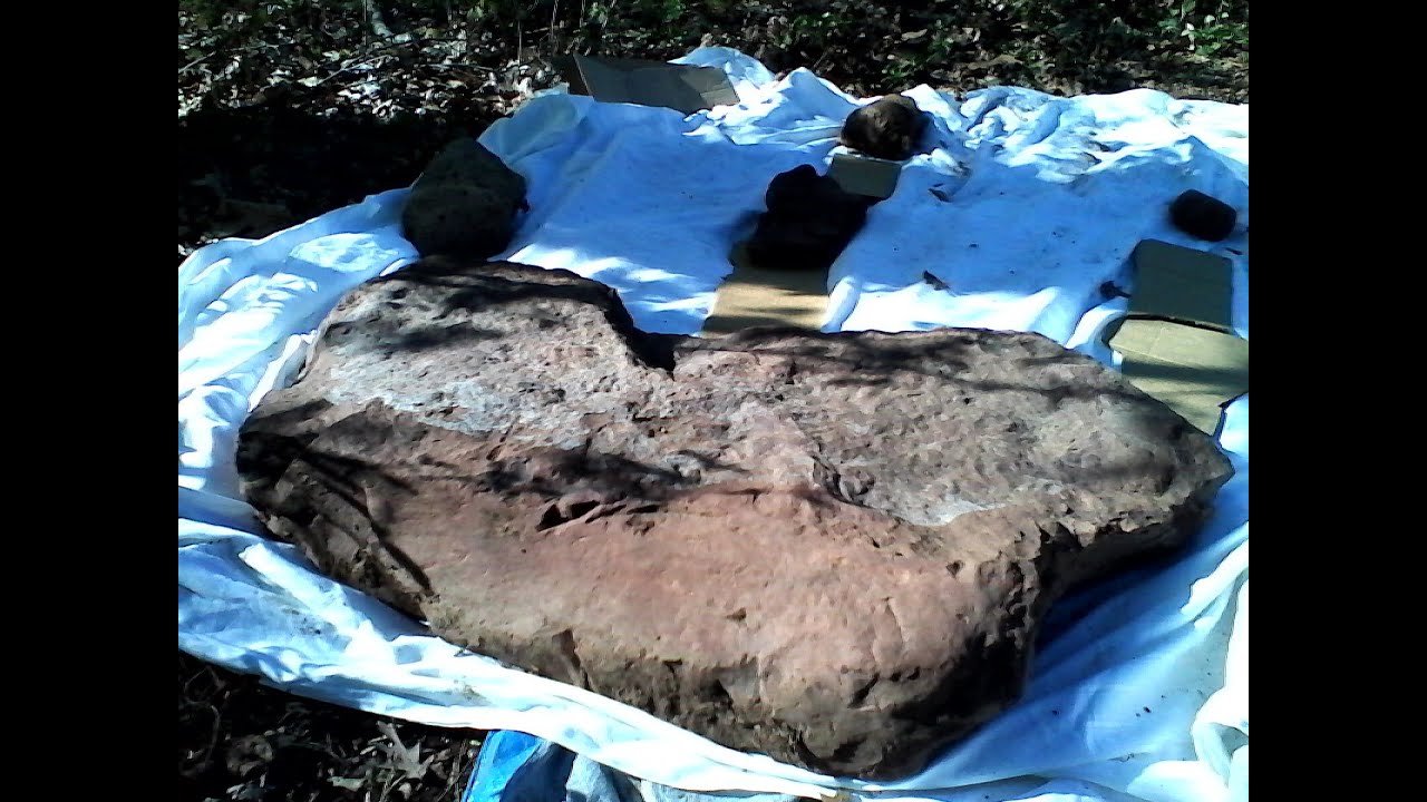 Giant 3ft Triassic HUMAN Fingertip still has fingerprint and DNA tested and is Homo Sapien mtDNA