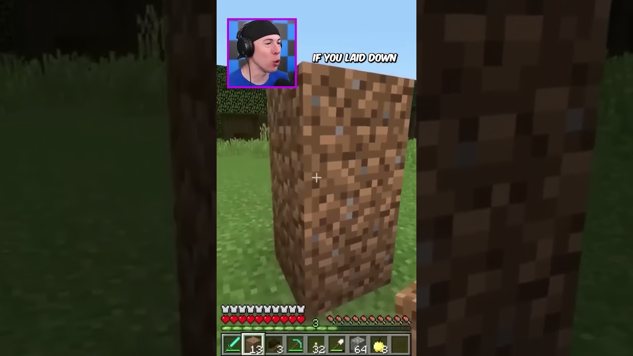 Minecraft HACKS