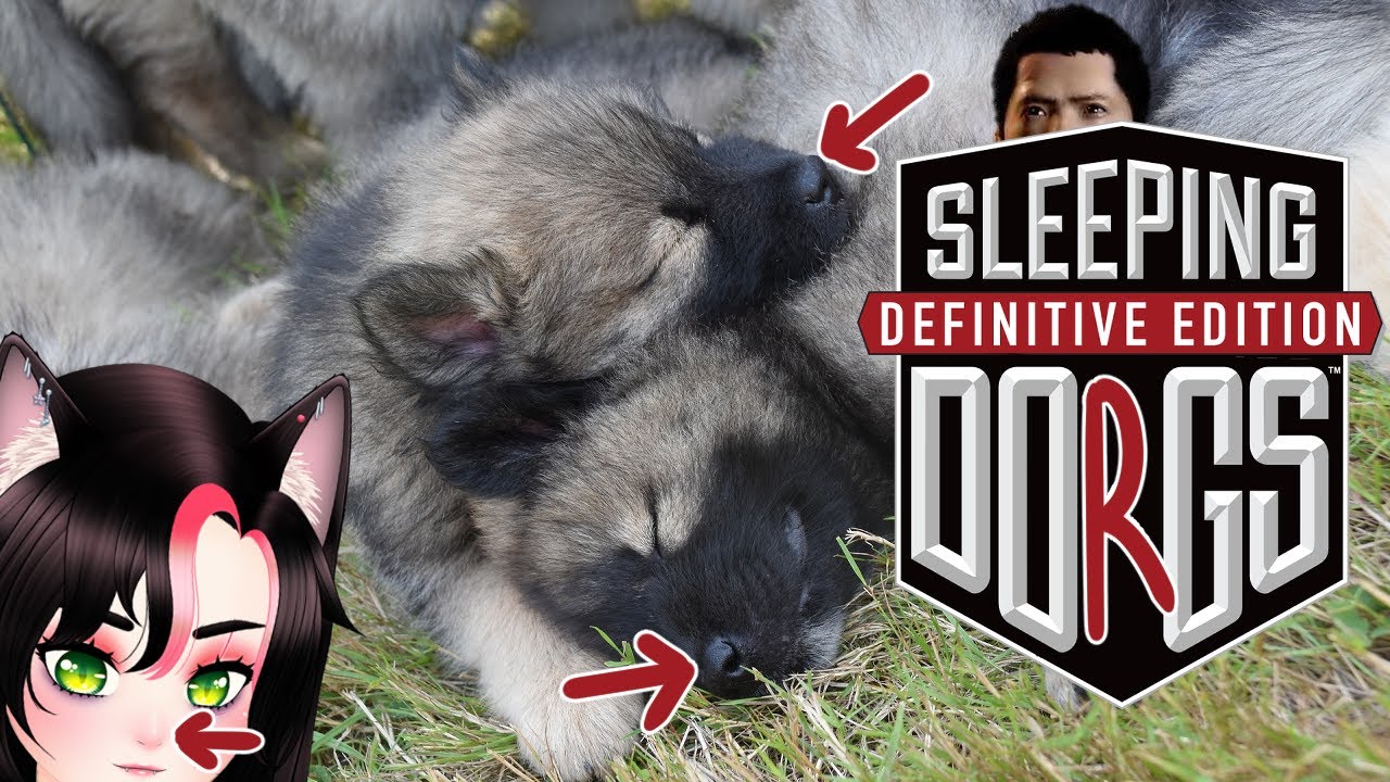 【SLEEPING DOGS】who let da babo out?【Babette Bichoux】