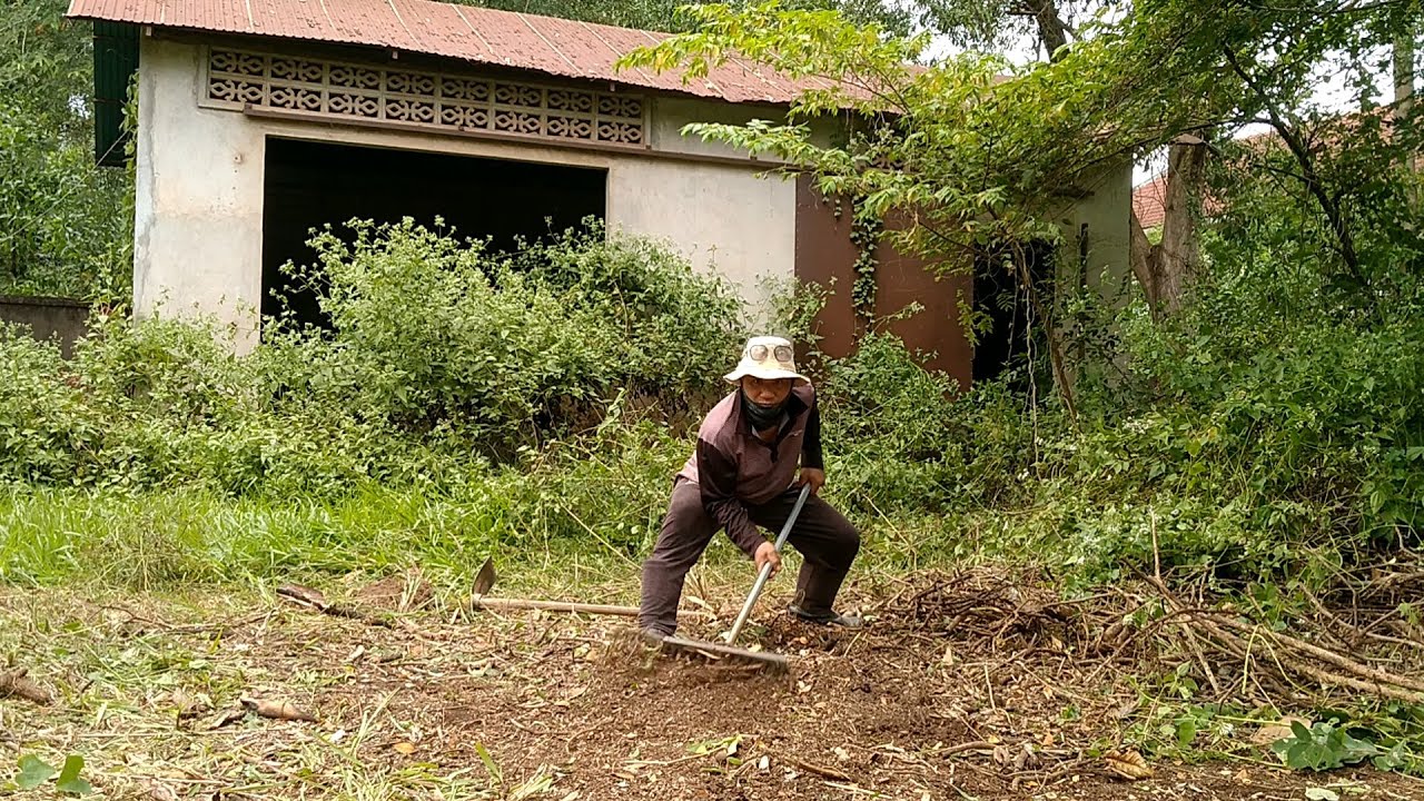 A Place That Has Been Abandoned For a Decade! The Weeds The Beauty Returns! #housecleaning #home
