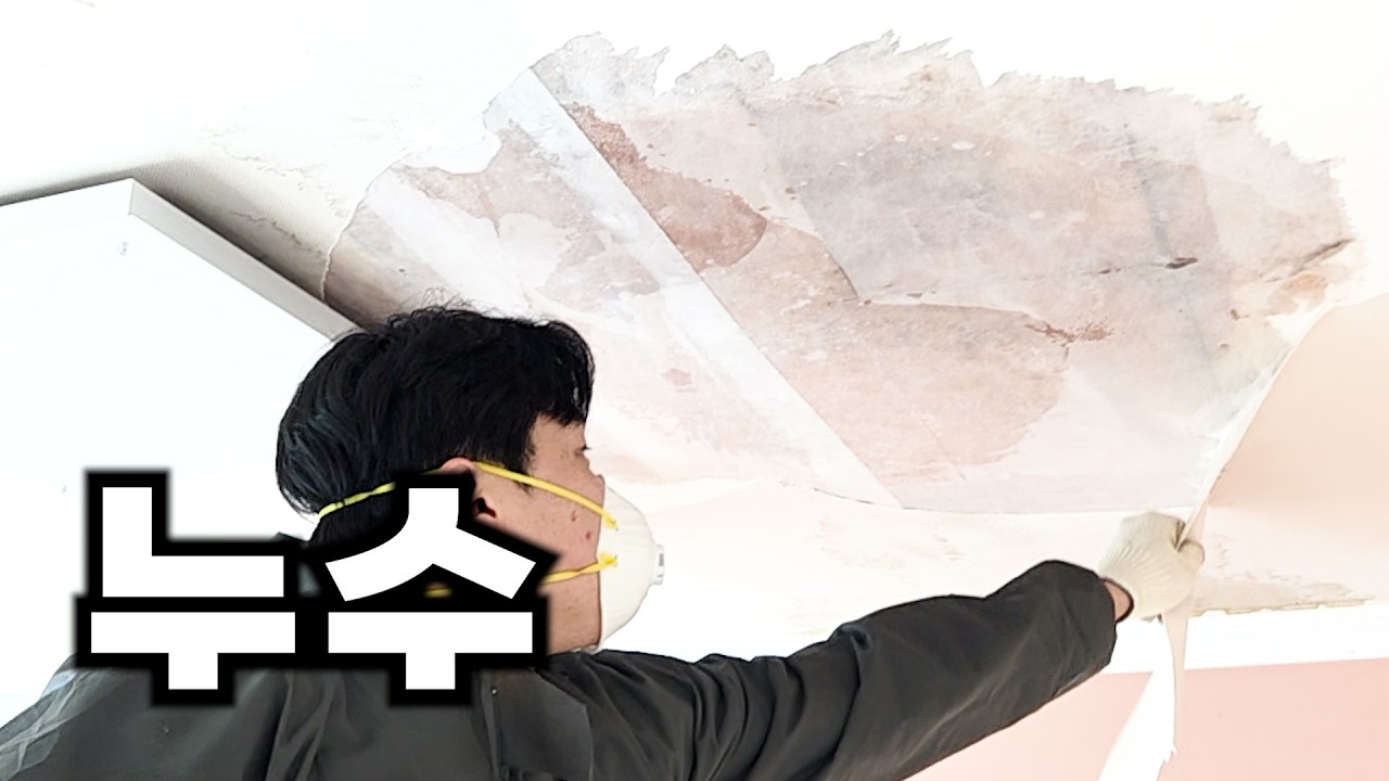 아파트 대신 50년 된 주택을 샀다 - 천장에서 폭포수가 쏟아 졌다...