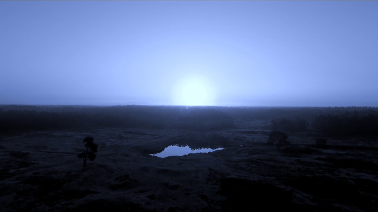 Ad Interim - Chasing Sounds #1