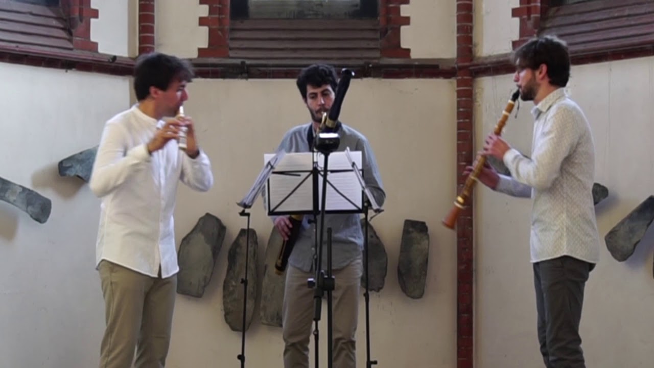 Eugène Walckiers  Deuxième trio pour la flûte, clarinette et basson  Op 12 1er movement
