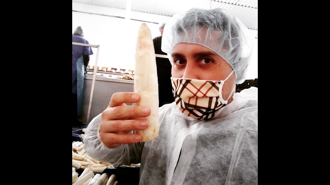 DEL CAMPO A CASA, ESPÁRRAGOS DE LODOSA