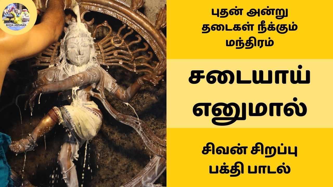 தடைகள் நீக்கும் மந்திரம் | புதன் அன்று கேட்க வேண்டிய சிவன் பக்தி பாடல்கள் | சடையாய் எனுமால் பதிகம்