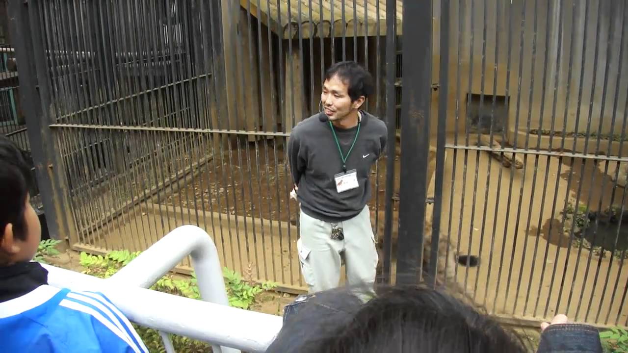 ブチハイエナのガリガリタイム（大宮公園小動物園）