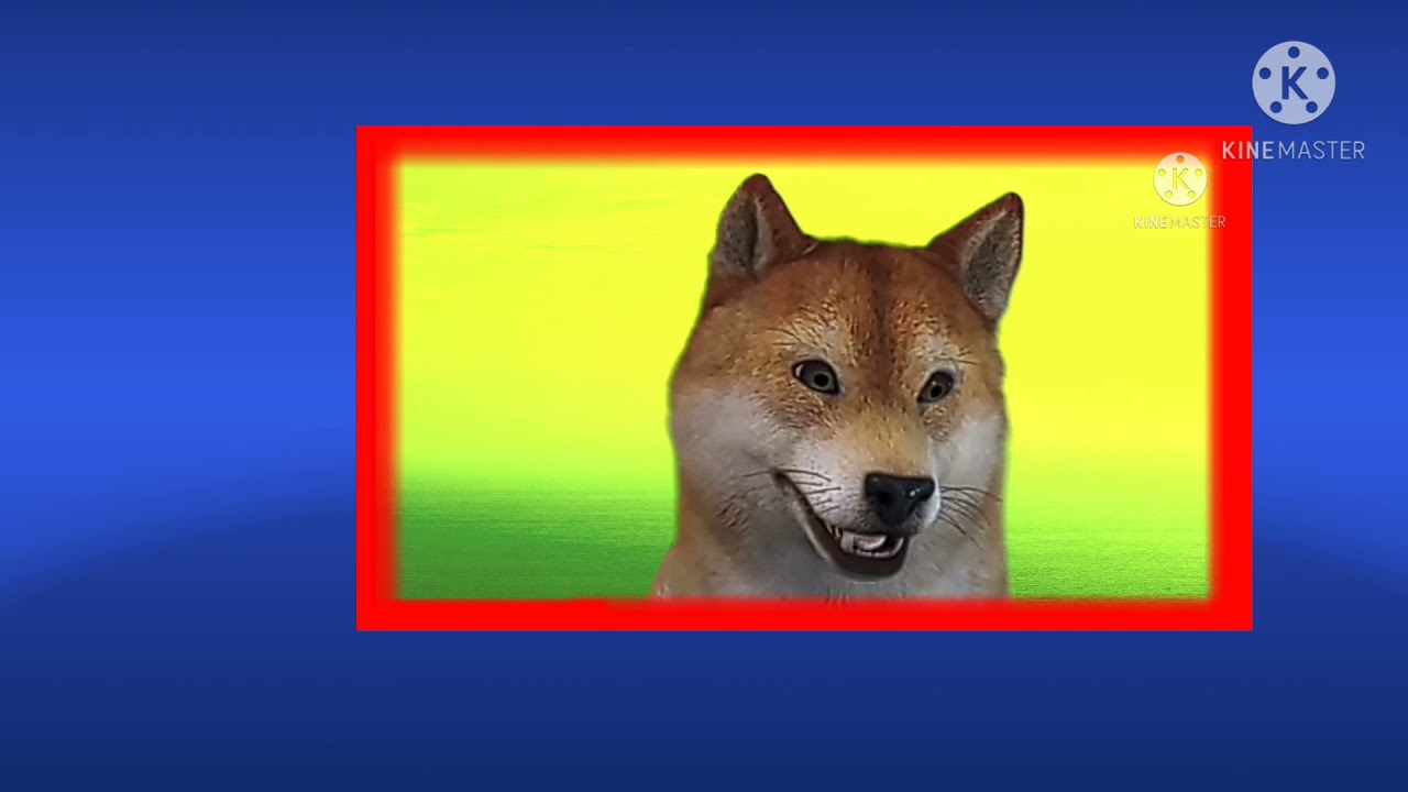 My new doge webcam!! 😂😂!