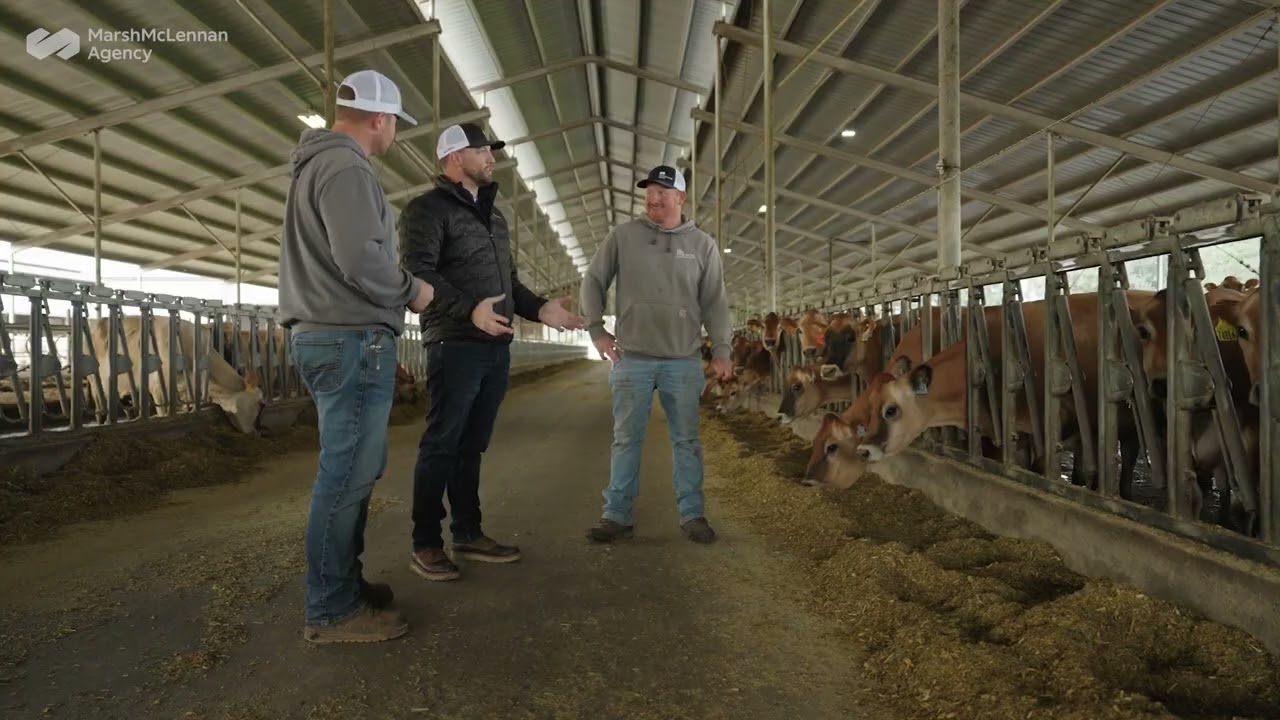 Dairy Business Coverage with Marsh McLennan Agency