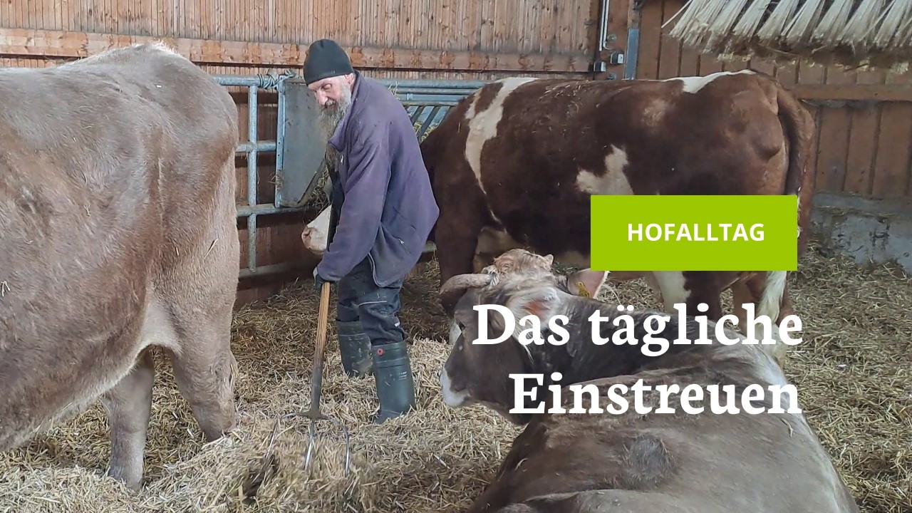 Das tägliche Einstreuen