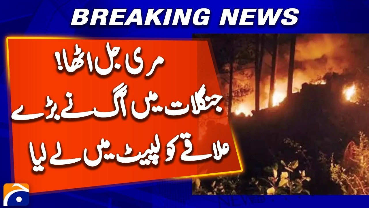 Massive Wildfires Trigger Emergency in Murree | Forest Fires Rage Out of Control