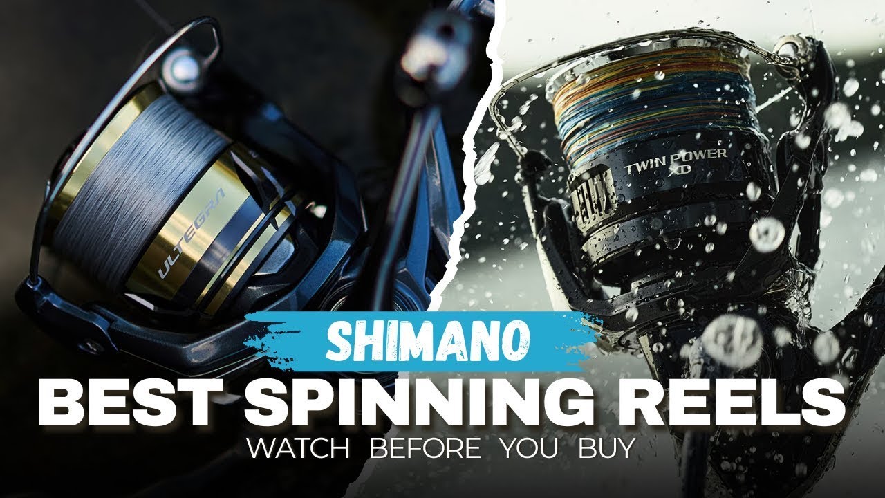 Top 5 SHIMANO Spinning Reels ON AMAZON