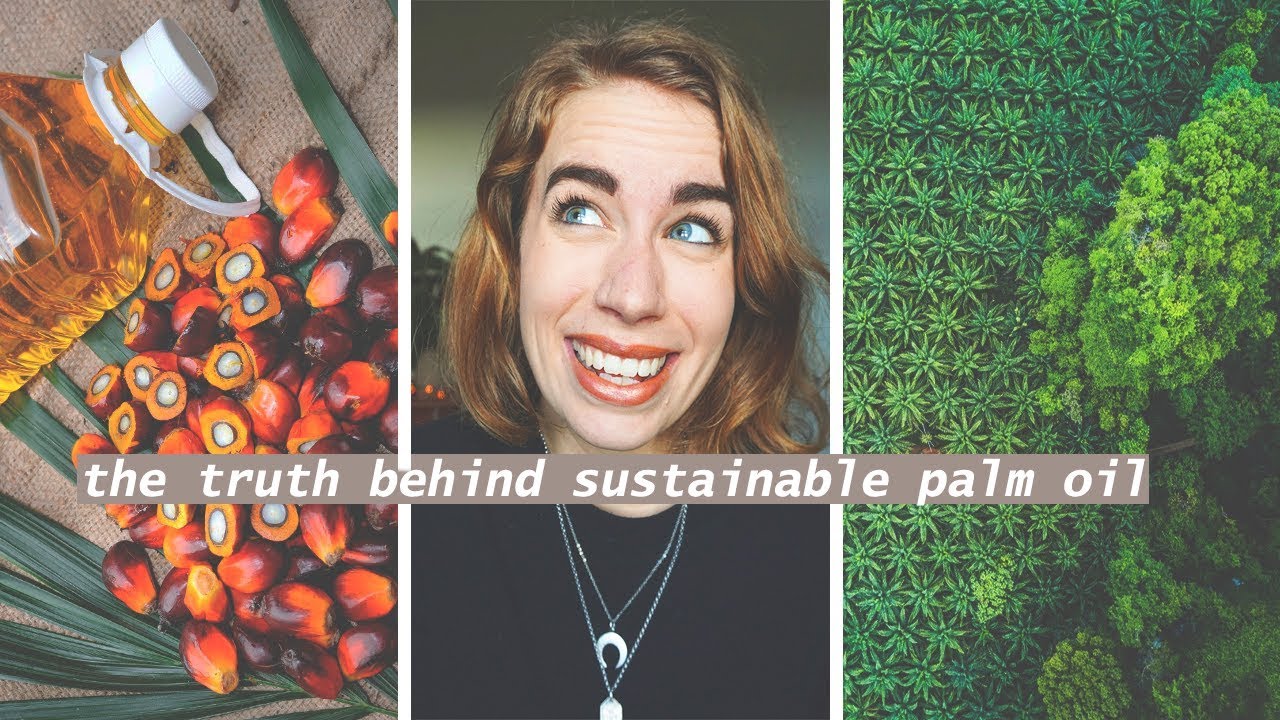 What Is Wrong With Palm Oil? // Breaking Down The Pros and Cons