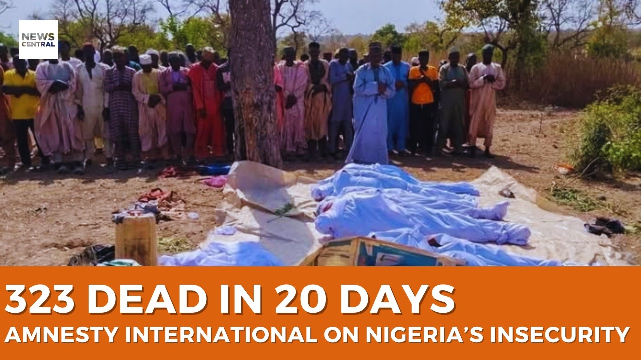 Amnesty International Reports 323 Nigerians Killed in February
