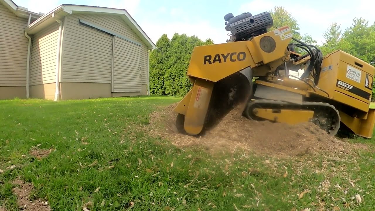 Cutting Down Trees and Grinding Stumps