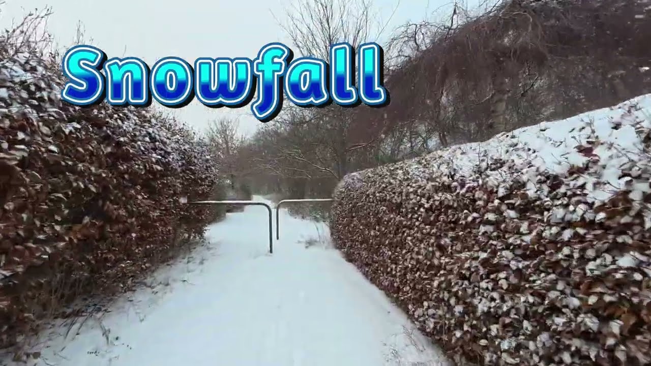 Snowfall || Walking || Copenhagen #snow #walking #copenhagen #relaxing #shakilch #4k #trending 