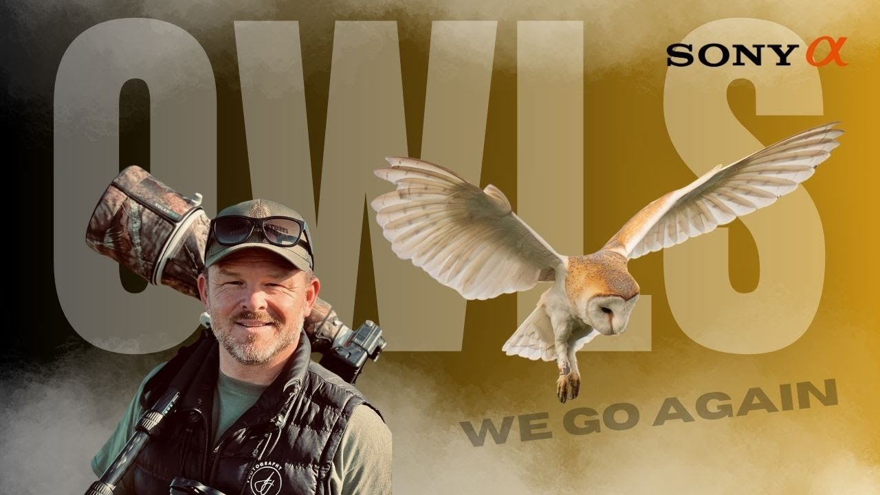 Finding & Photographing ALL 5 UK OWLS IN 72 HOURS!? Will it be 2nd time lucky?