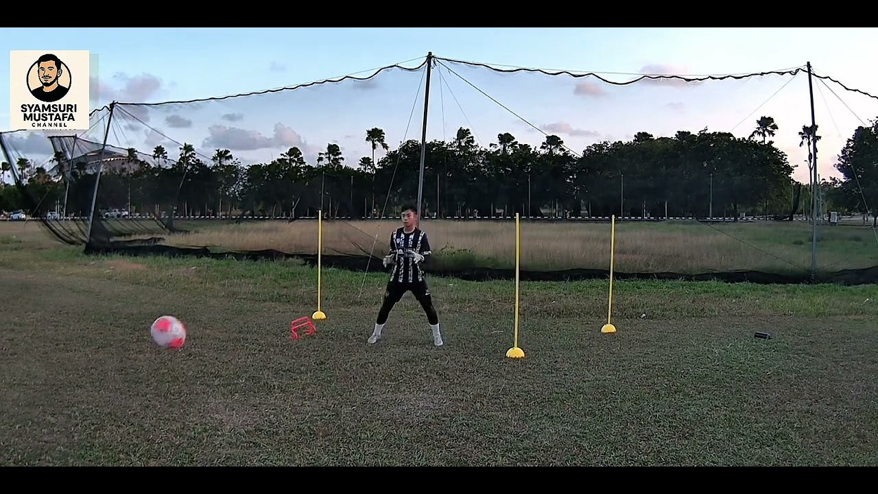 Young GK - Personal Training - Footwork,Low and High Diving