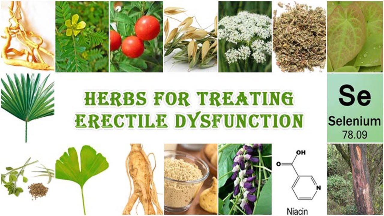 6 Herbs For Treating Erectile Dysfunction - ED Natural Treatment