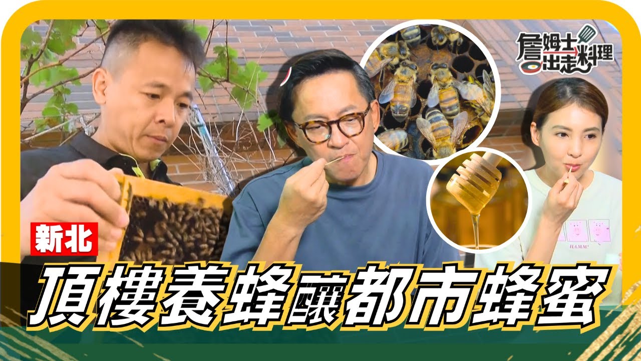 🔎《姆士尋寶去》城市也能養蜂？！嚐遍都市百花蜜，打造你的甜蜜小天地！都市種菜箱，讓頂樓、陽台變田園，自己收割健康蔬菜，體驗自然樂趣！