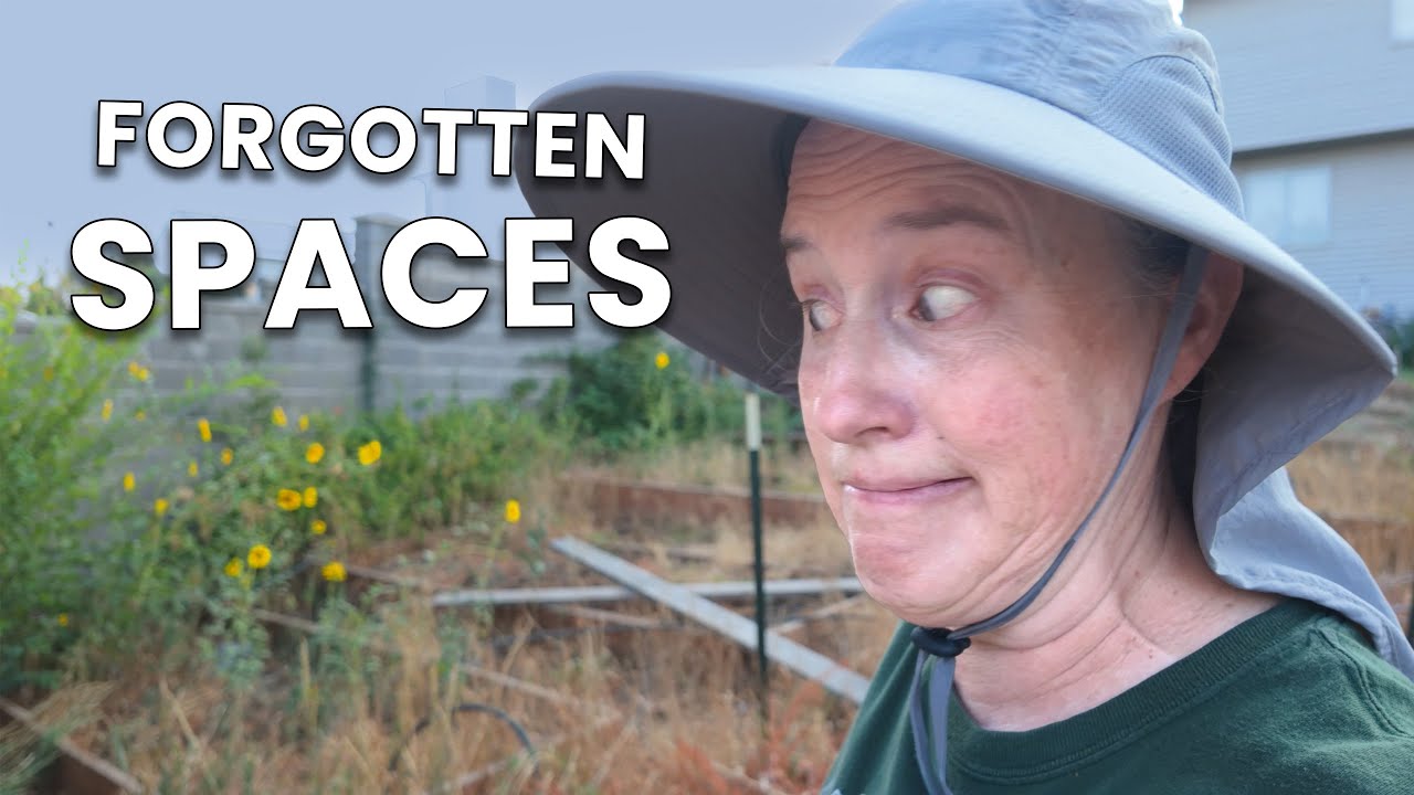 What happened After I Ignored my Backyard for a Year