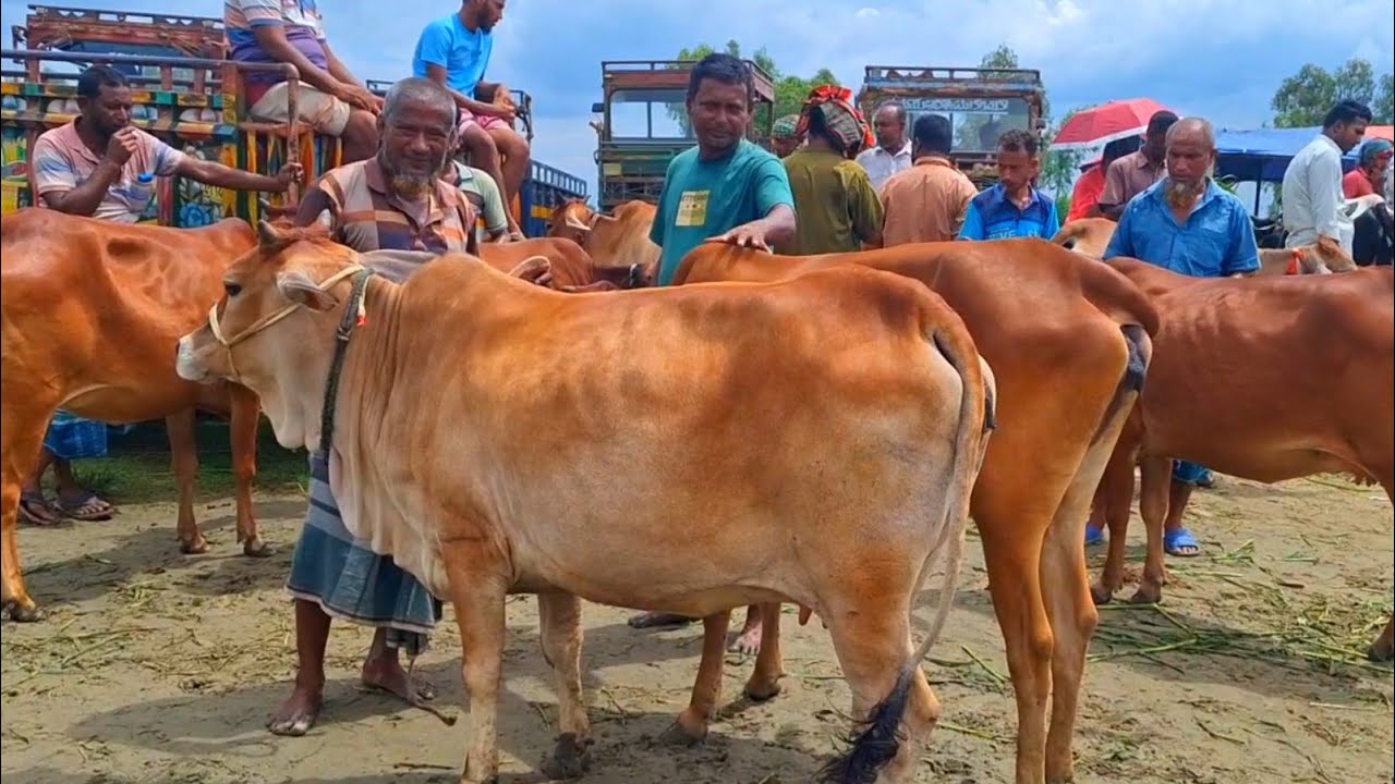@আজ ১৪ আগস্ট