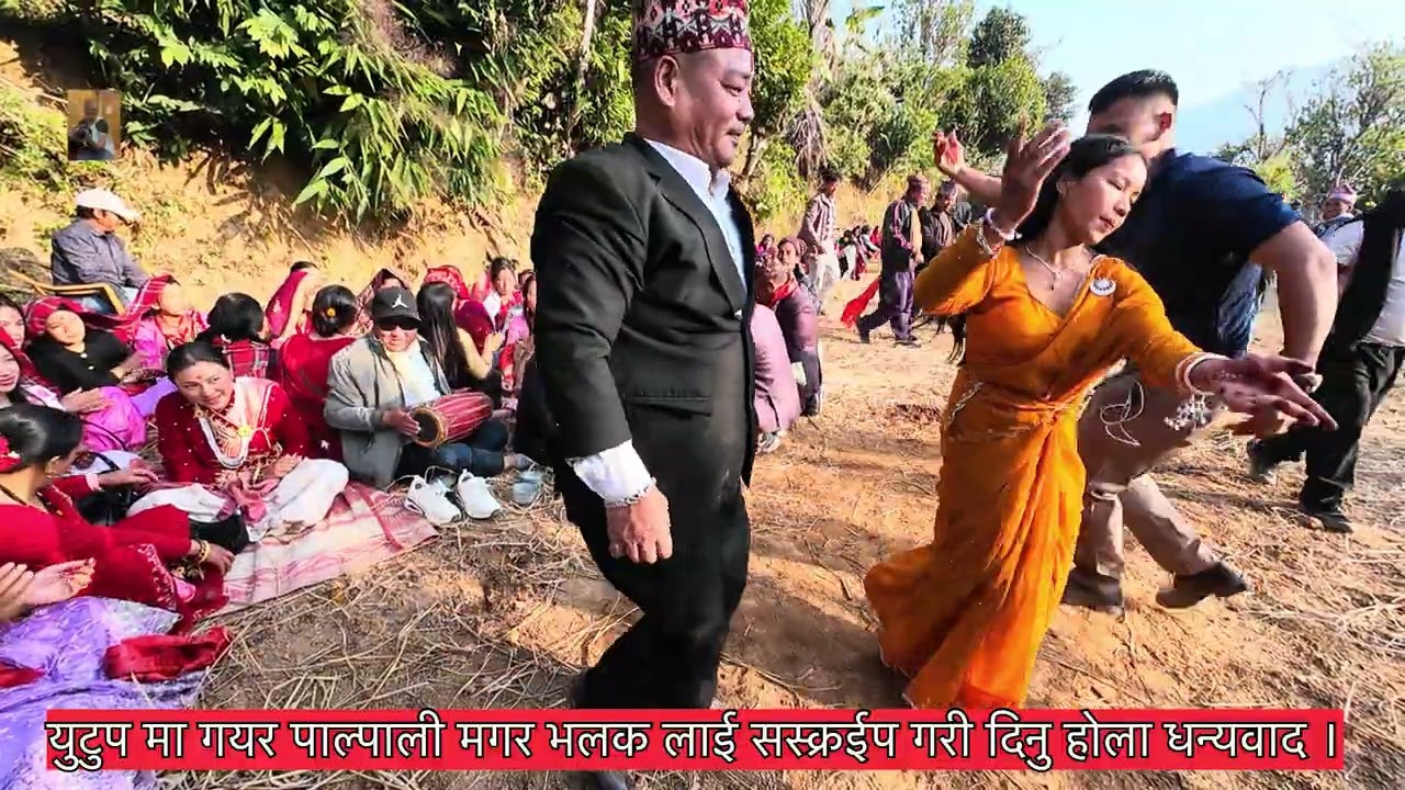 पाल्पा ढोलीमाराको झामरे है 