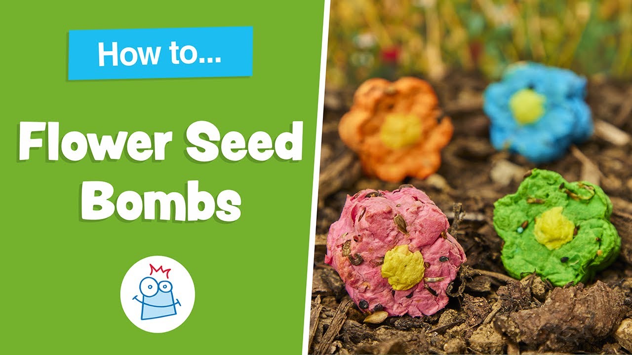 How to make Wildflower Seed Bombs | Baker Ross