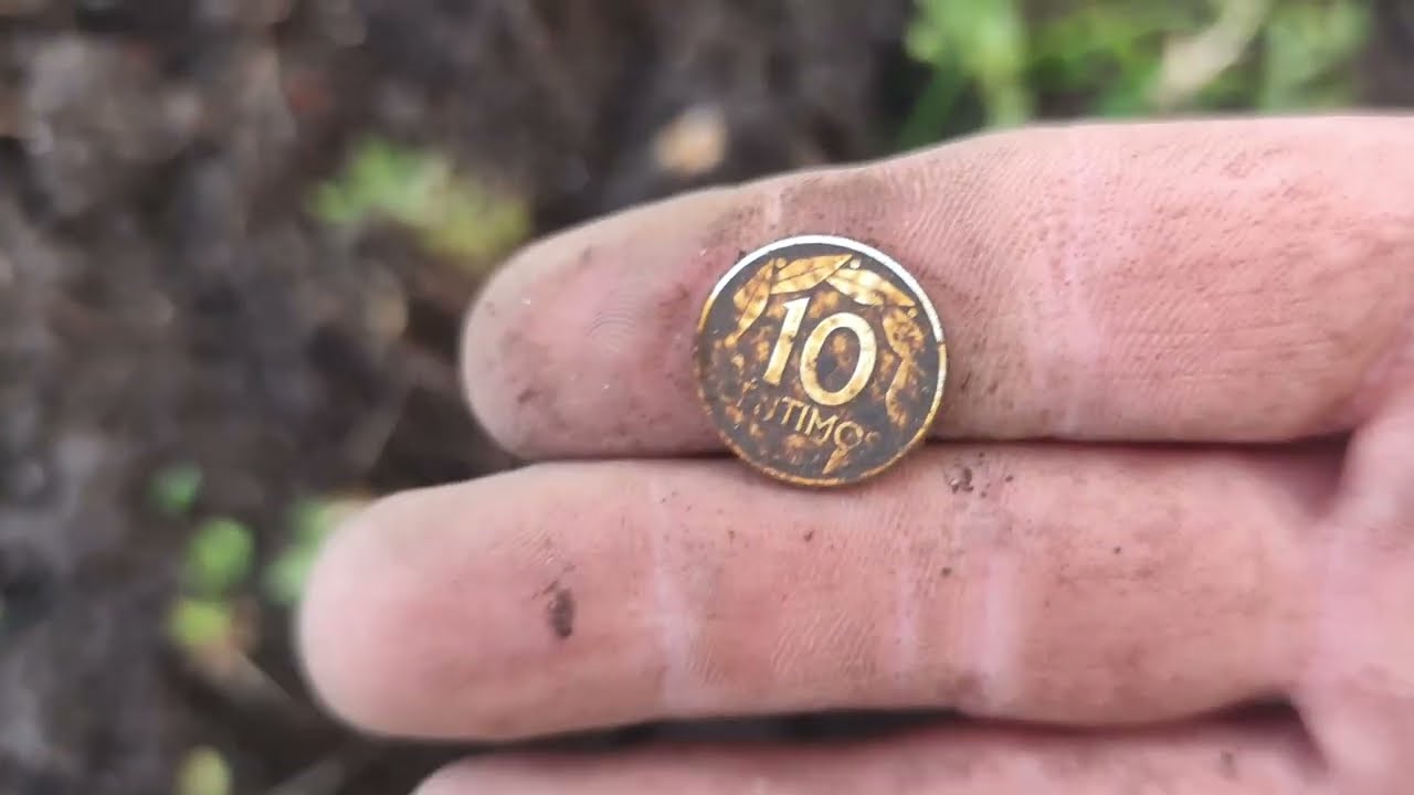 CABAÑA en el bosque sin herramientas y Descubro la historia con mi DETECTOR DE METALES.