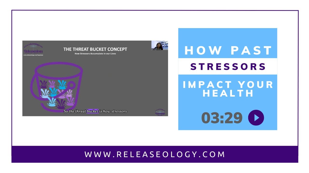 Accumulated Stressors Impact Your Health 