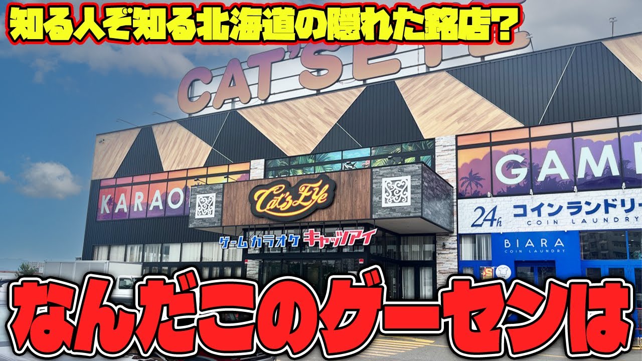 【驚愕】知らないと損する！？プロが薦めるあのゲーセンに潜入した結果がヤバすぎたw【クレーンゲーム】