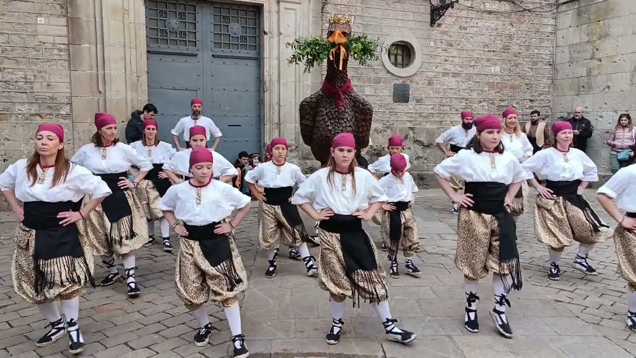 Ball de l'Àliga de Torredembarra - Bestieses - Festes Sant Josep Oriol Barcelona 2025