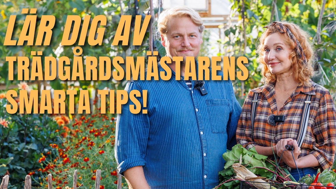 När Trädgårdsmästare Linda Schilén inreder sitt Tunnelväxthus – Smarta Lösningar och Odlingstips!