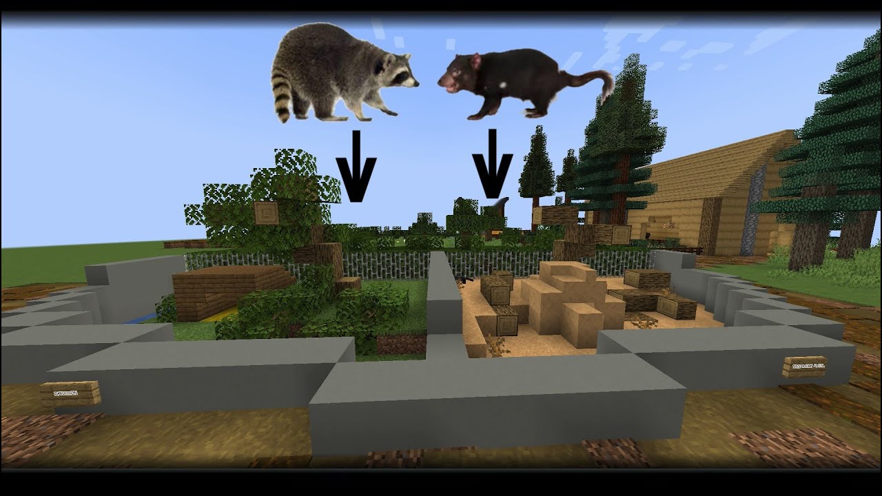Planet Zoo in Minecraft S2 ep02 | Tasmanian Devil & Raccoon Habitats