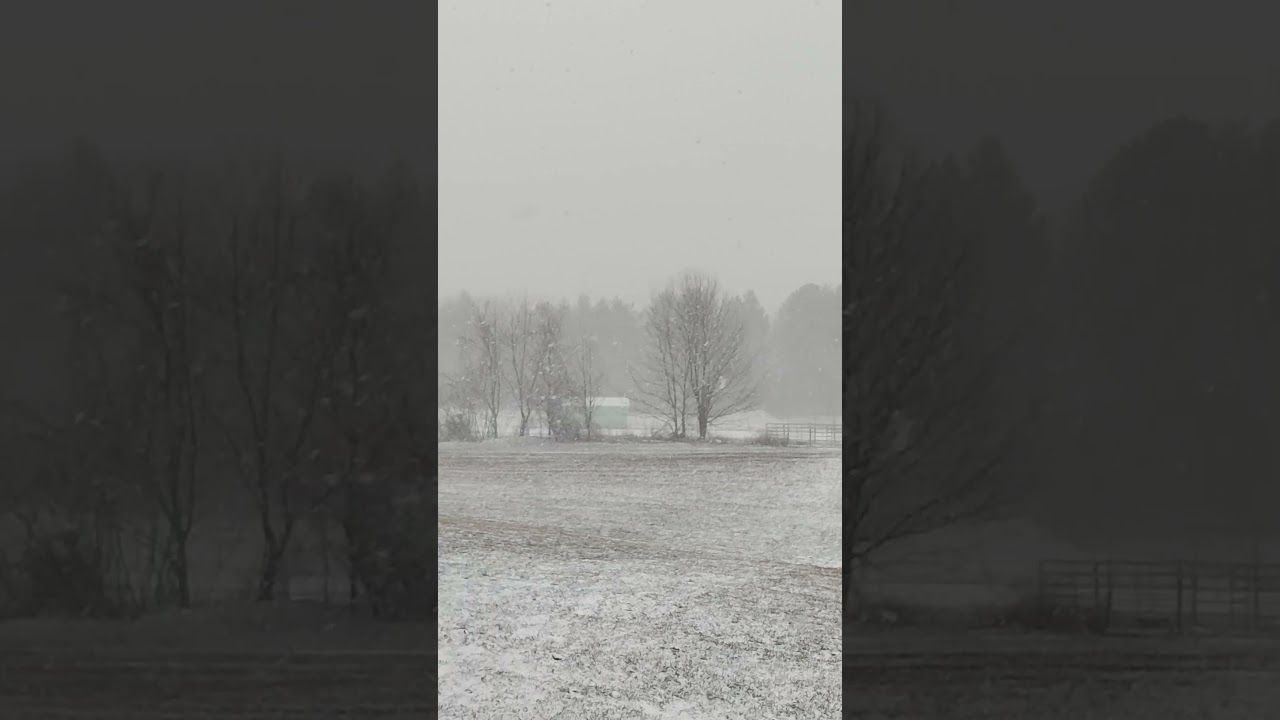 Looks a lot like Christmas in mid-March.