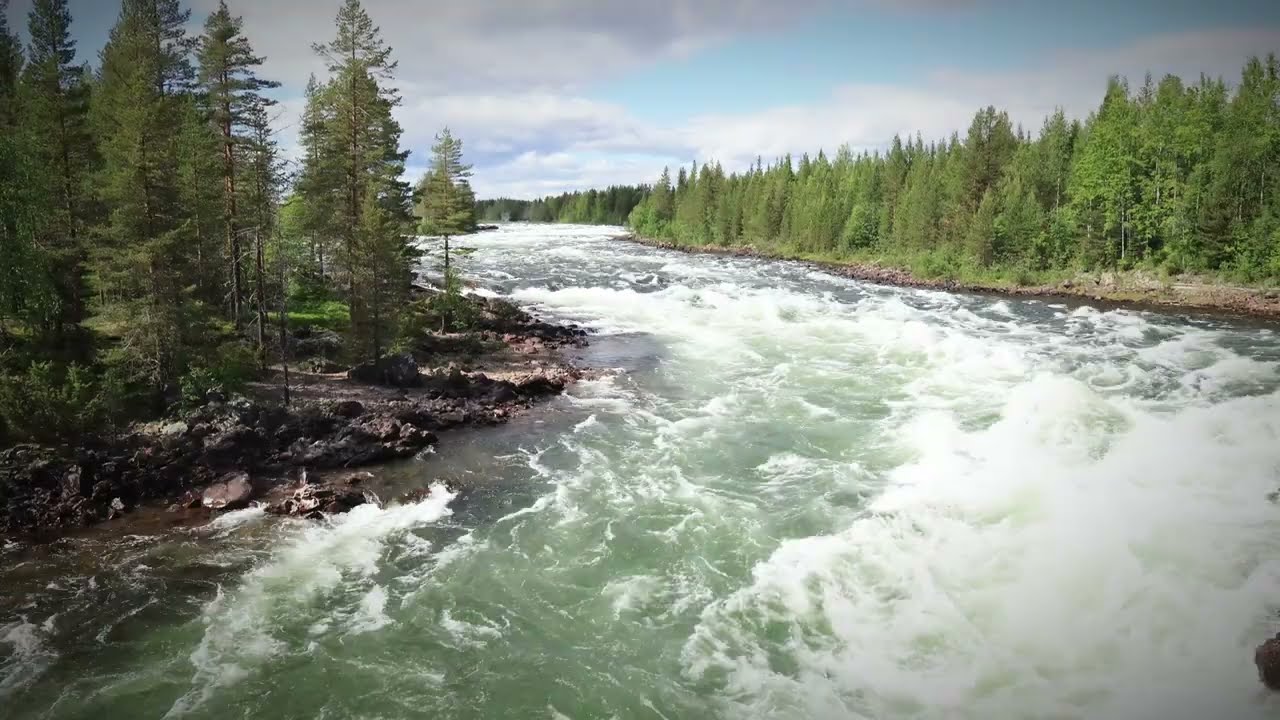 Benbryteforsen Piteälven 2025.