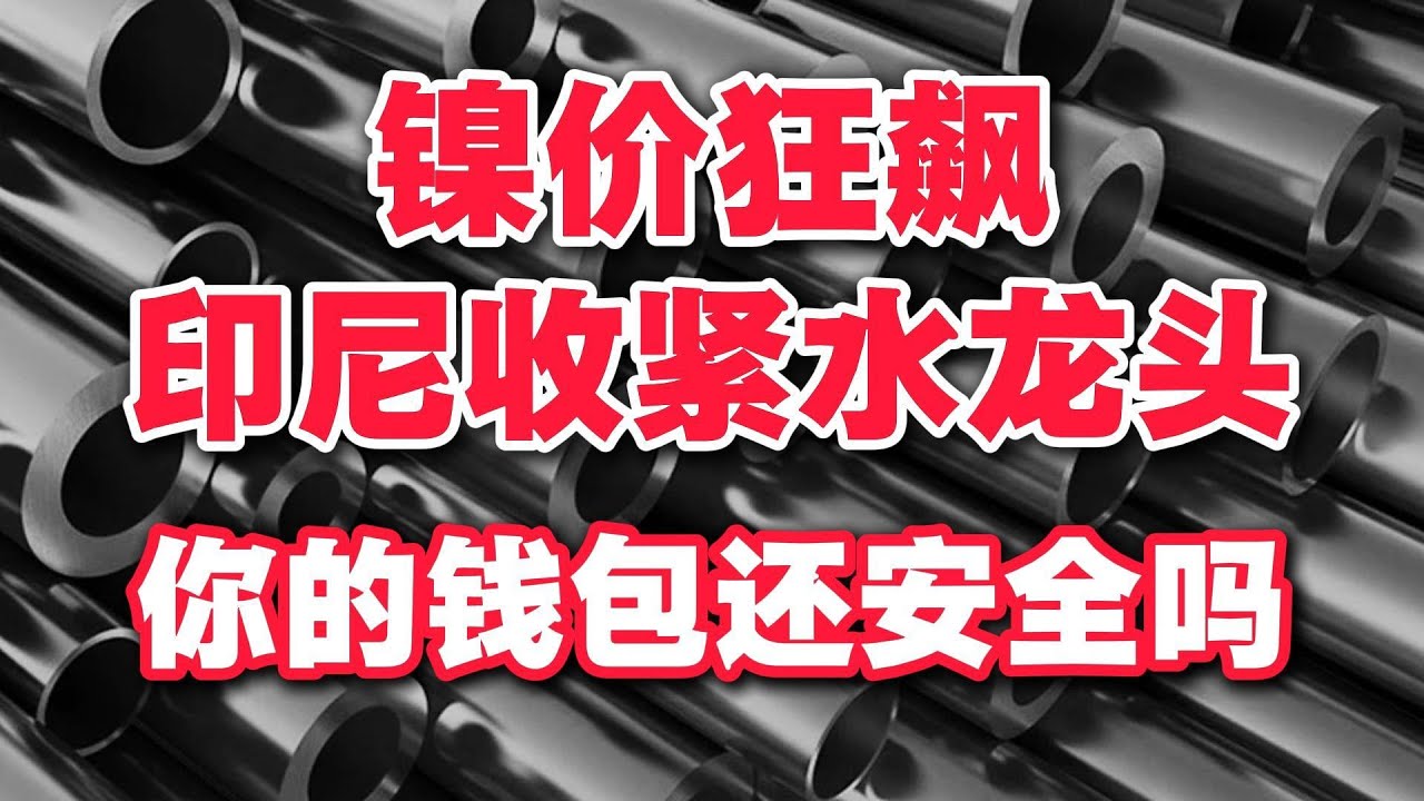 从不锈钢勺子到电动车：镍价狂飙，普通人的钱包还安全吗？#财经深度 #印尼镍矿新政 #大宗商品