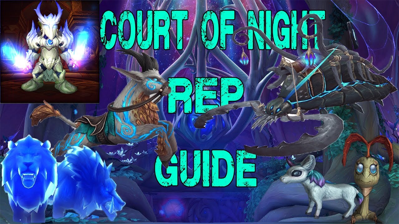 Court on Night Rep Farm