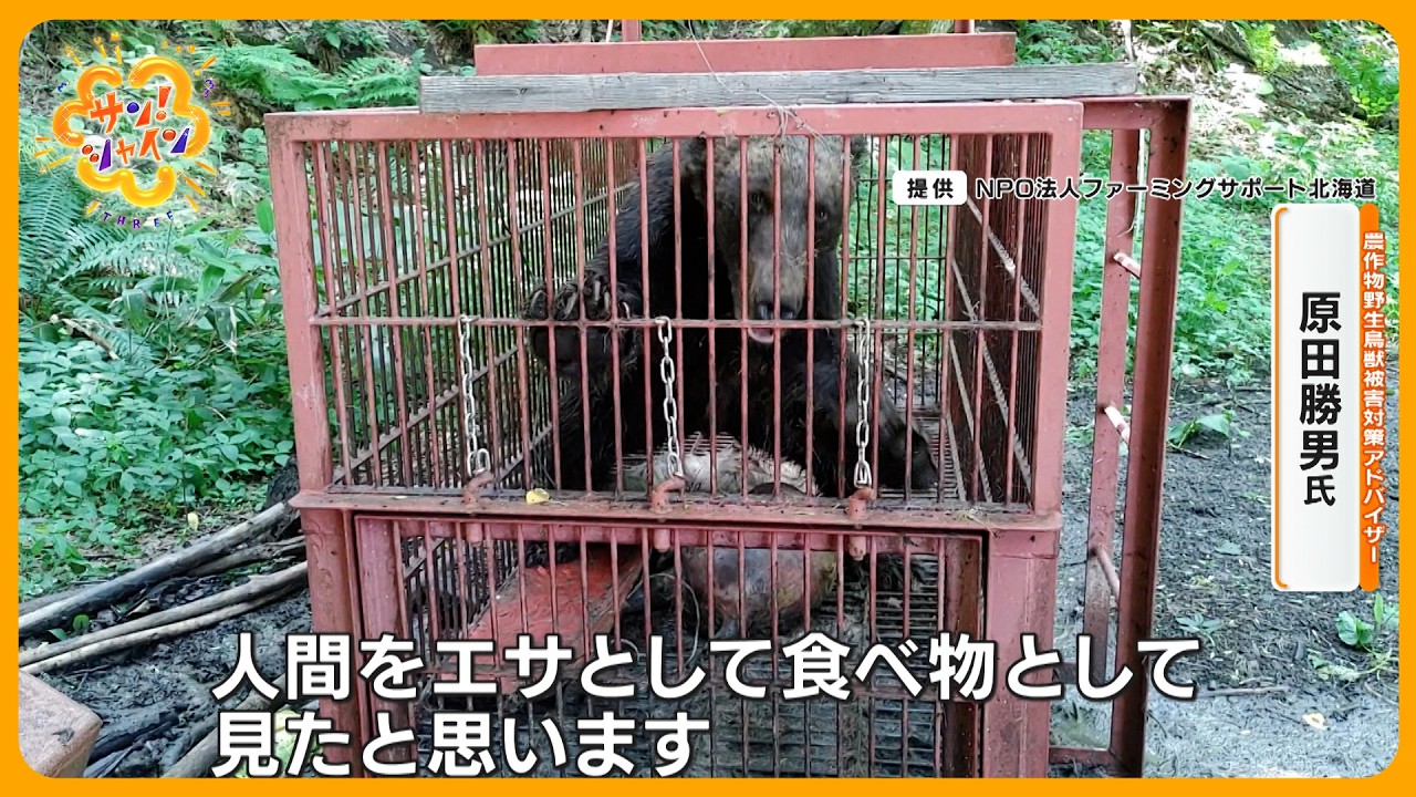 【警戒】｢人間を“エサ”として見た｣北海道・新聞配達員の男性がクマに襲われ死亡 専門家警鐘「再び起きる可能性」サン！シャインニュース】