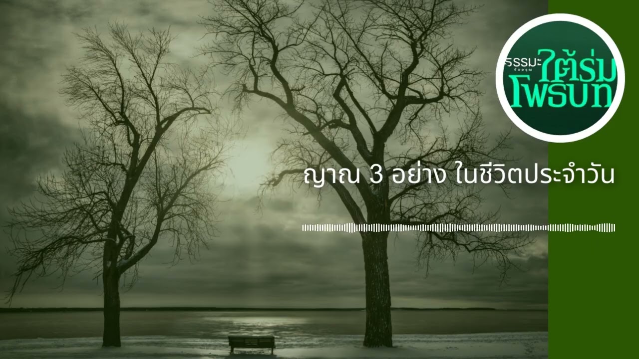 ญาณ 3 อย่าง ในชีวิตประจำวัน  [6906-3d]
