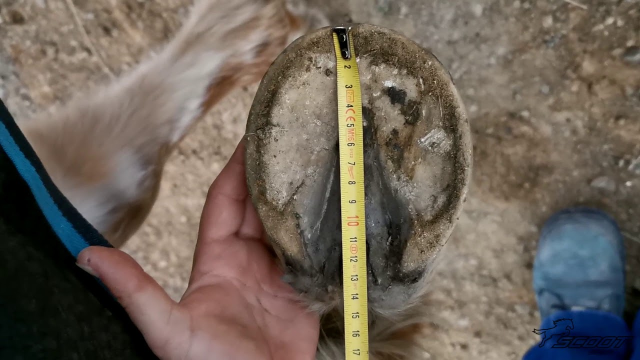 How to take measurement pictures for Scoot Boots free sizing service