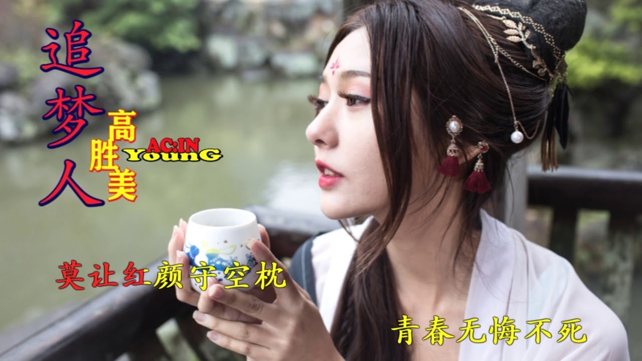 Gao Sheng Mei - Zhui Meng Ren ( 高胜美 - 追梦人 )